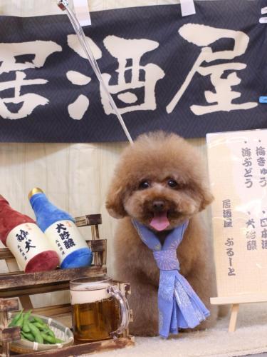 20240619てんくん